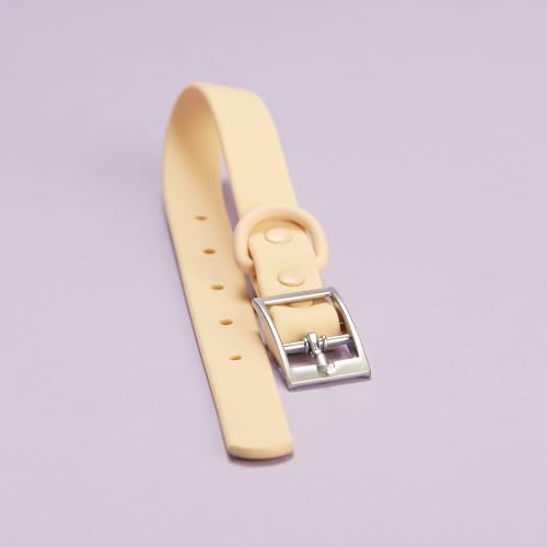 Peps Pet Collar - Super Strong & Adjustable (Medium) | Durable, Stylish, and Comfortable for Dogs