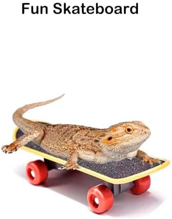 5 pcs Breaded Dragon Toys Set Balls Bell Reptile Feeder Toy Lizard Feed Balls Enrichment Toy Habitat Terrarium Tank Accessories Interactive Toy for Bearded Dragon Gecko Small Animals