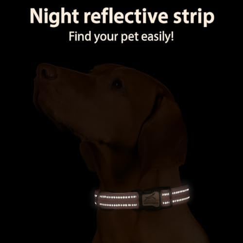 Dog Collar with AirTag Holder, QR Code Tracking, Paw Print Covers, Multi-Color (Pink)