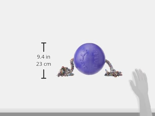 Jolly Pets Romp-N-Roll Rope & Ball Dog Toy, 8 in Large, Purple