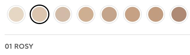 Radiant Professional Natural Fix All Day Matte Cream Foundation Makeup – Long Wear, Full Coverage Matte Foundation with SPF 15 – Oil Free Lightweight Formula for All Skin Types – 1.01oz (01 Rossy)
