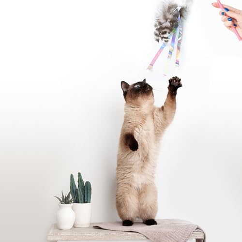 Cat Insect Feather Toys Replacement Cat Toy Wand Refills, 6 Pieces Natural Insect Cat Toy Feathers Refill, Interactive Cat Teaser Wand Attachments, with Bell