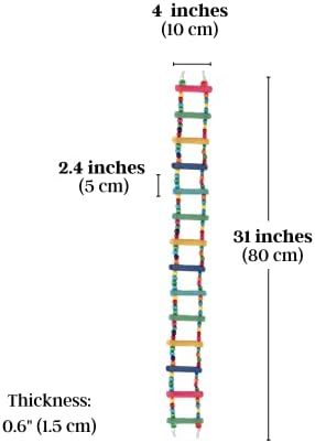 SunGrow Bird Ladder Bridge, 31x4 Inches, Raw Wood and Edible Dye, Suitable for Small to Medium Birds, 1 Piece