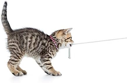 Max & Molly Cat & Kitten Collar Watemelon with Bell & Breakaway Safety Buckle, Fun Style for Girl or Boy Cats & Kittens, Waterpoof, Comfortable, Adjustable, Includes Gotcha QR Code Pet ID