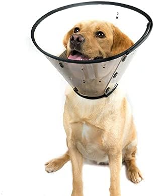 Smart Collar Elizabethan Rigid Size 4