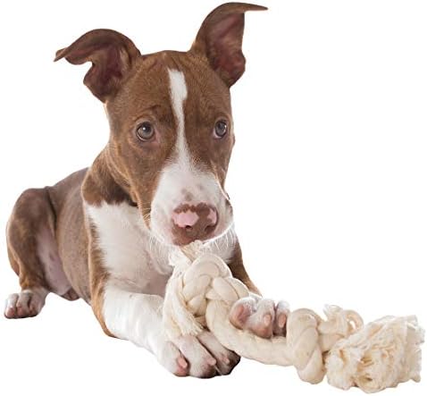 Mammoth Flossy Chews Natural Cotton Rope Toy - Premium White Knot Tug Toy for Small Dogs - Mini 6" (Pack of 3)