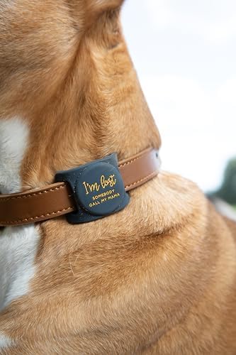 Two Tails I'm Lost Dog Collar Holder Compatible with Apple AirTag