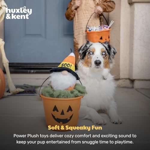 Huxley & Kent Halloween Funny Dog Toy w/Squeaker – Power Plush Squeaky Dog Toys for Small, Medium & Large Dogs – Soft Stuffed Animal for Indoor Play & Fetch - Candy Corn Gnome, One Size