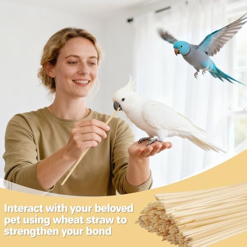 MAQIHAN 200 Count Bird Chew Toys - Natural Wheat Straw Parrot Toys