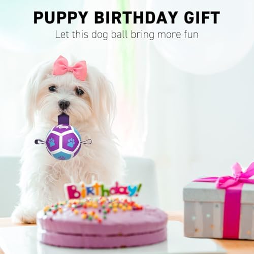 QDAN Small Dog Toys, Puppy Balls, Dog Balls with Straps for Small Breed | 3.5 Inch Small Soccer Ball for Dogs, Puppy Toys for 3-15 lbs Dogs, Dog Birthday Gift, Herding Ball for Small Dogs, Purple