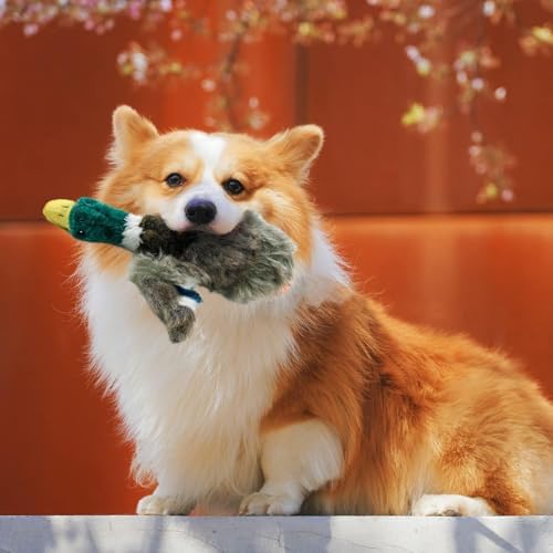ALL FOR PAWS Duck Squeaky Doy Toy, Duck Dog Toy for Small Medium Breed, Puppy Fetch Toy with Squeaker, Plush Chew Dog Toy, 7.9 x 7.5 x 2 inches, Classic - Mallard S