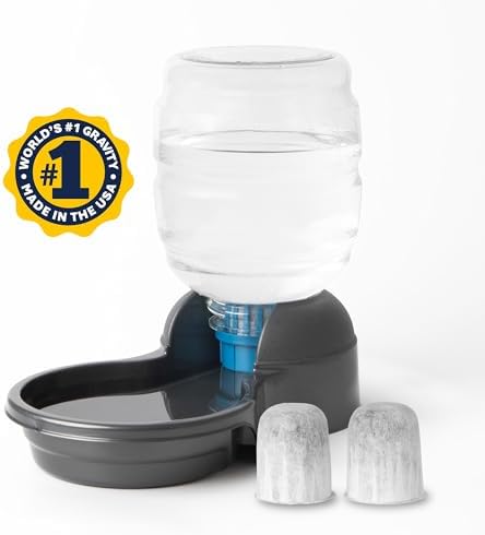 Petmate Replendish Automatic Dog Water Dispenser, 1 Gallon, 2 Filters