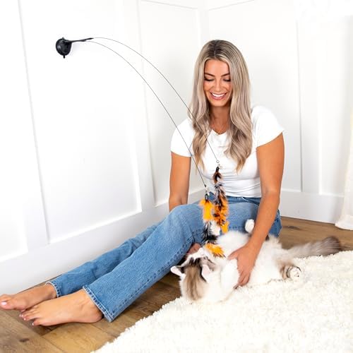 Cat Toys For Indoor Cats: Interactive Cat Toy Wand, 9 Feathers Wand Lures