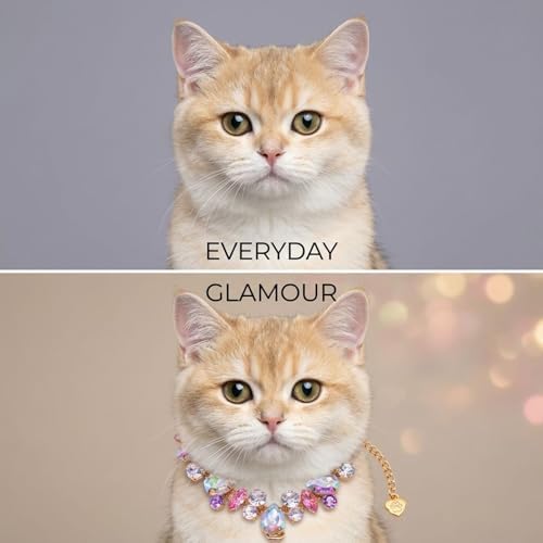 Pet Collar, Multicolor Resin Dog Collar, Adjustable Gold Chain Necklace for Small and Medium Cats, Floral Charm Accessory for Wedding, Birthday, and Photoshoots