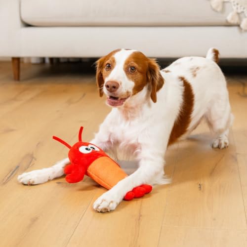 Outward Hound Coated Critterz Dog Toy – Plush & Molded Texture, Squeaky Fetch, Small & Medium Dogs, Lobster, 10.4"