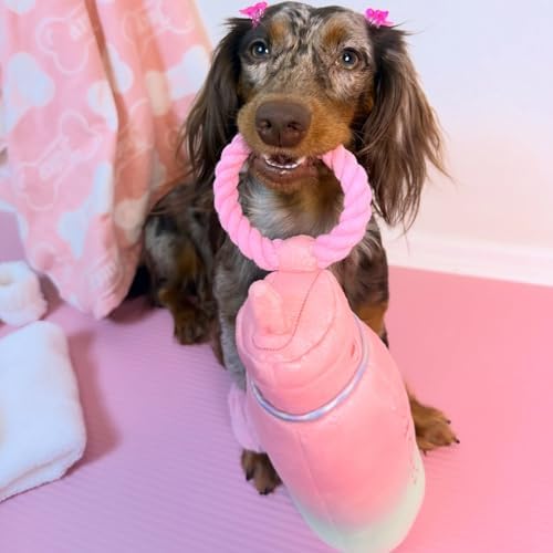 Haute Diggity Dog Pawlates Princess Water Bottle Plush Dog Toy Funny Parody