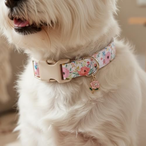Dog Collar, Floral Girl Dog Collar with Pink Flowers, Cute Spring Summer Pattern for Girls Boys Small Medium Large Dogs, Soft Puppy Collar