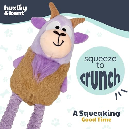 Huxley & Kent Funny Dog Toy w/Squeaker – Power Plush Squeaky Dog Toys for Small, Medium & Large Dogs – Soft Stuffed Animal for Indoor Play & Fetch - Squeak to Crunch - Lankies Vincent Van Goat, Small