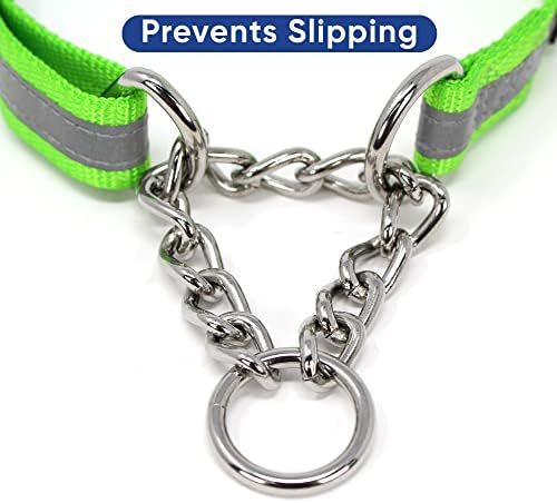 Pawtitas Martingale Dog Collar with Chain a Reflective Dog Training Collar for Medium Dogs | Nylon No Pull Dog Collar for Medium Dog - Green