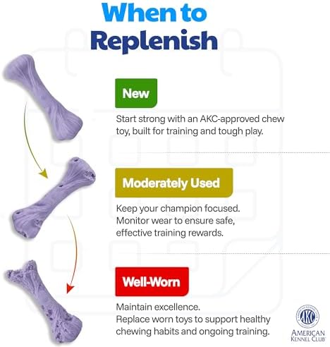 American Kennel Club Training Dog Chew Toy, Large PP Bone Dog Toy, Durable Dog Toy for Moderate Chewers, Beef Scented for Long-Lasting Engagement, Supports Dental Health, Purple