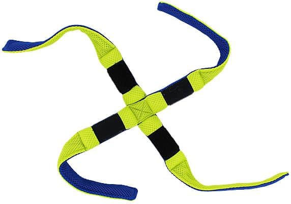 Clean Run Fern Treat-Dispensing Pull-Apart Toy