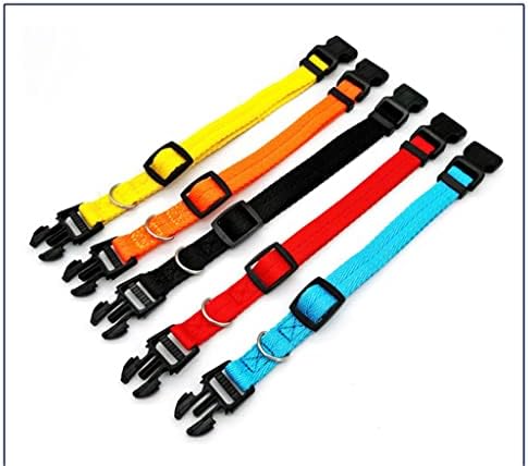 Nylon Webbing Dog Collar Fashion Buckle Pet CollarAccessory
