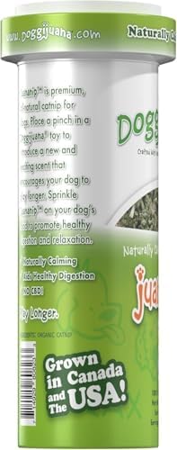 Doggijuana Gingerbread & Juananip Bundle | Holiday Plush, Squeaky
