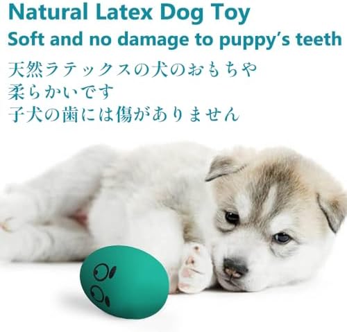 SCHITEC Dog Squeak Toys, Latex Egg Balls for Puppies Small Medium Dogs