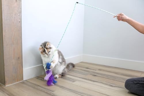 Quirky Kitty Glowing Forest Firefly Wand Catnip Cat Toy for Night Play Time