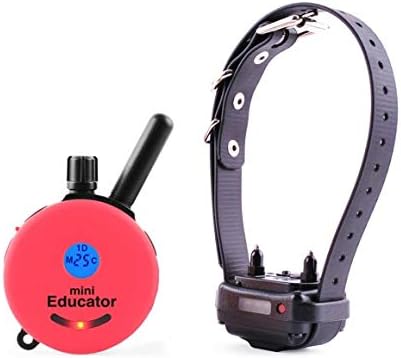 Mini Educator ET-300 1/2 Mile E-Collar Remote Dog Training Collar with Vibration and Tapping Sensation (Pink)