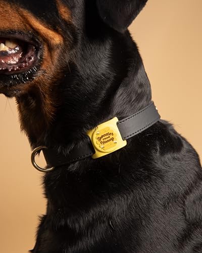 Two Tails Sweeter Than Honey Dog Collar Holder Compatible with Apple AirTag