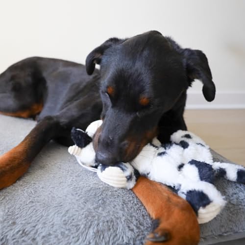 Barnyard Buddy Cow Plush Dog Toy with Tennis Ball Inside