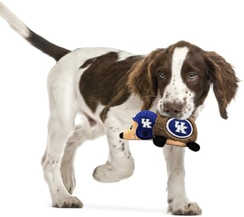 NCAA Kentucky Wildcats Plush Hedgehog Toy for Dogs & Cats, Cool Soft Pet Toy for Fun and Interactive Play, Dog Chew Toy with Squeaker, Licensed Hot Pet Toy