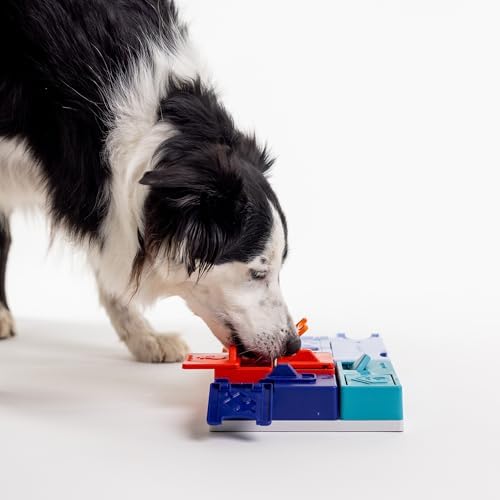 Genius Set Pawzler - Modular Dog Puzzle | Pawzler Interactive Dog Treat Puzzles for Canine Enrichment