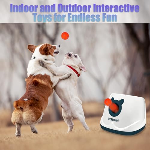 Automatic Dog Ball Launche with 9 Balls (2 inches)