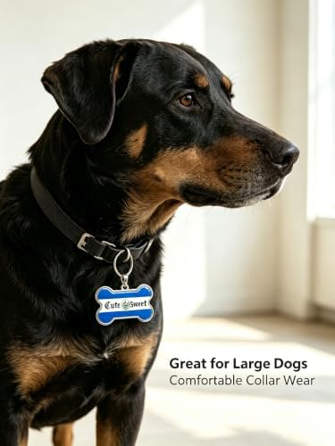 HSIAHOU Custom Pet ID Tags, Personalized Dog Tag Cat Tag (Salvador)