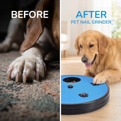 Dog Nail Scratch Board with Treat Box for Large&Small Dogs