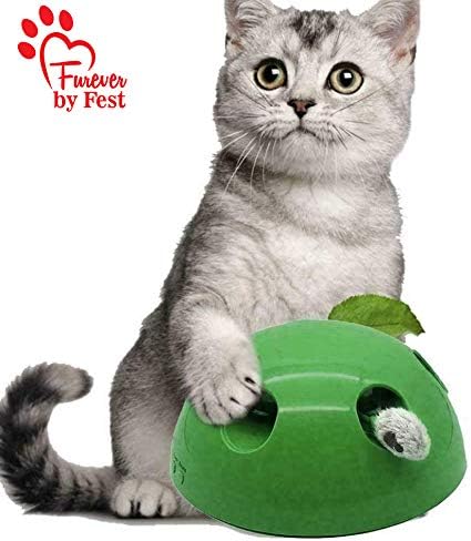 Furever 3 Replacement Cat Toy Attachments to use with The Pop and Play; Includes One Mouse, One Fish and One Feather. Ideal for Your cat, Interactive Way. Best Cat Toys Ever