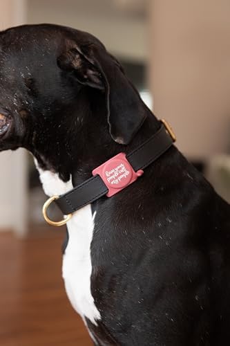 Two Tails Have Your People Dog Collar Holder Compatible with Apple AirTag