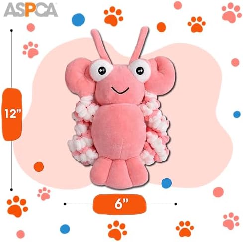 ASPCA 2 Pack Plush Dog Toy with Squeaker for Small & Medium Dogs, Soft Durable Stuffed Pet Toy for Fetch, Tug & Cuddle, Interactive, Lightweight, Engaging Play Toy for Dogs