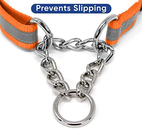 Pawtitas Martingale Dog Collar with Chain a Reflective Dog Training Collar for Large Dogs | Nylon No Pull Dog Collar for Large Dog - Orange