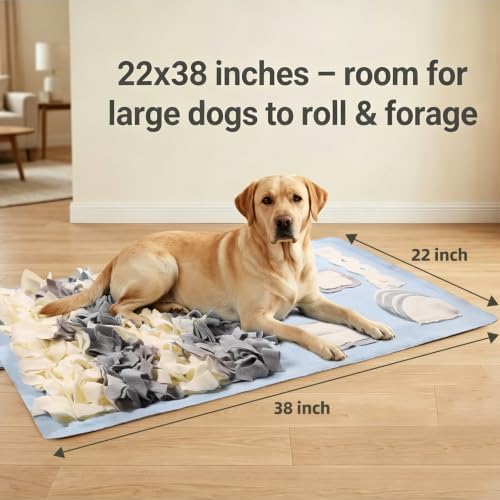 Snuffle Mat for Dogs: Slow Food Interactive Experience