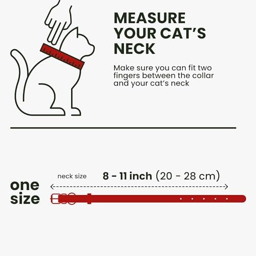 BRONZEDOG Cat Collar with Bell Kitten Rolled Leather Collars Safety QR ID Name Tag (Red)