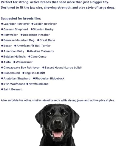 Stuffable Enrichment Dog Toy – Extra Firm Natural Rubber Treat Dispenser for Large Dogs, Irregular Shape, Blue, Bully Stick Compatible