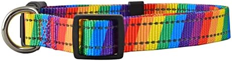 Native Pup Reflective Dog Collars (Small, Rainbow)