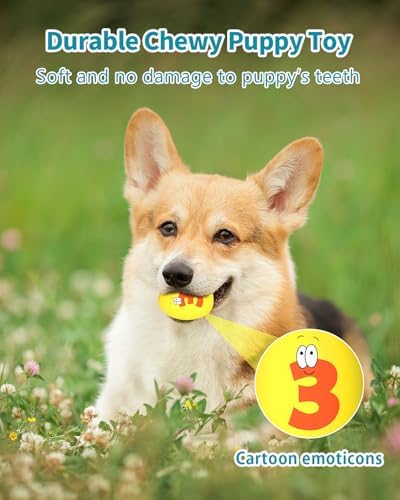 Squeaky Dog Toys for Small Dogs, 3 Pack Soft Puppy Chew Toy Set, Funny Numbers Squeaky Dog Balls, Interactive Fetch Playing Egg Balls for Puppy Small Breeds, 1.7"*2.4"