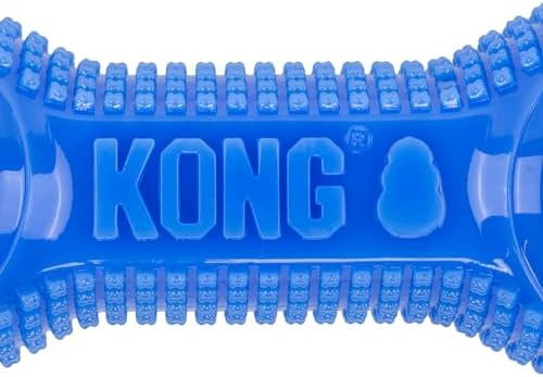 KONG CoreStrength Dog Toy – Dumbbell –Durable Tough Chew Toy for Medium & Large Dogs – Textured Dental Chew for Teeth & Gums – Fetch & Interactive Play