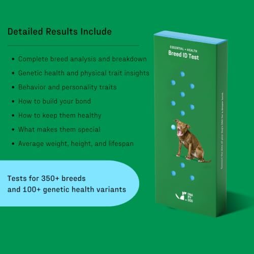 DNA MY DOG - Essential + Health Dog DNA Test Kit | 350+ Breeds Identified | 99%+ Accuracy | 105+ Health & Trait Results | Allergy Risk Score | Personality & Behavior Insights | Results in 2-3 Weeks