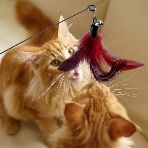 3-in-1 Cat Wand Toys,12Pcs Interactive Cat Feather Toys for Indoor Self Play & Exercise,2 Reusable Strong Suction Cups,2 Hanging Spider Toys for Kitten