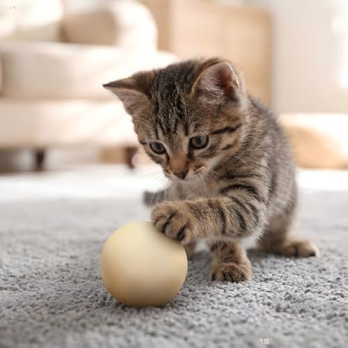 Cat Scratcher, Cat Natural Sisal Scratching Pad, Kitten Interactive Toy with Ball Track Spring Ball for Chasing Hunting Mental Physical Exercise Puzzle (4PCS cat Ball)